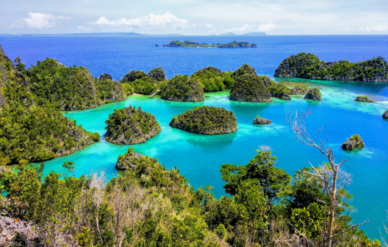 Jalan venu Indonesia