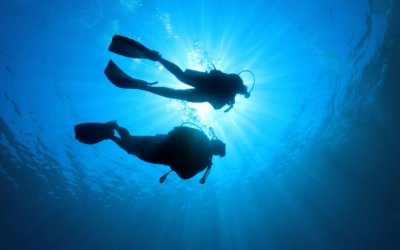 Du baptême de plongée à la certification niveau 1 sur la Côte Bleue