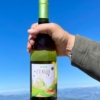 vin blanc envol 2023 Jalan