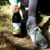 vin rouge français balade 2023