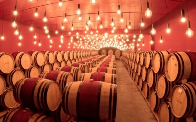 Visit and wine tasting at the Jean-René Germanier estate in Switzerland, in the Valais region